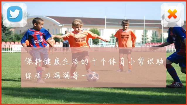 保持健康生活的十个体育小常识助你活力满满每一天